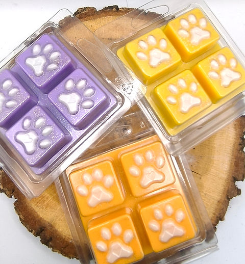 Clamshell pattes