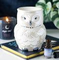 Brûleur hibou nacré