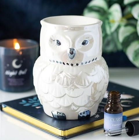 Brûleur hibou nacré