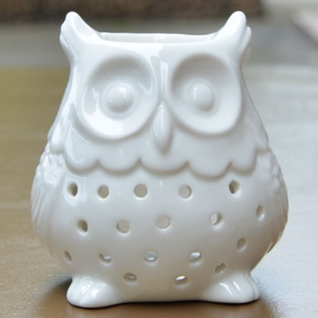Brûleur hibou